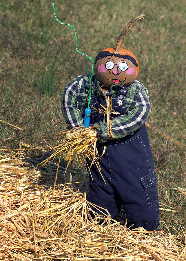 Scarecrow with Hay Photograph by Joseph Skompski