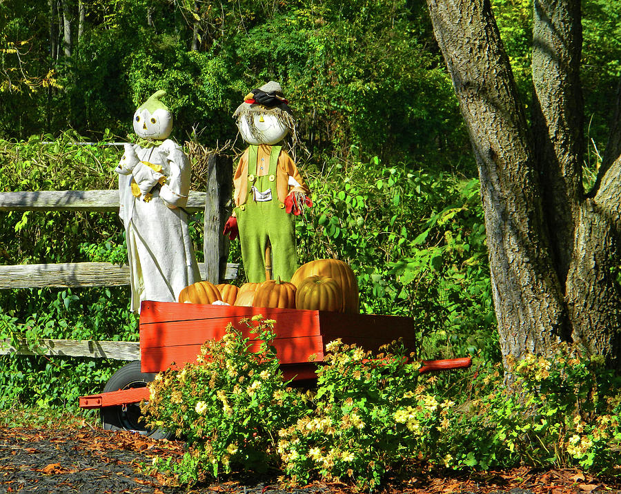 Scarecrows Guarding The Pumpkins Photograph