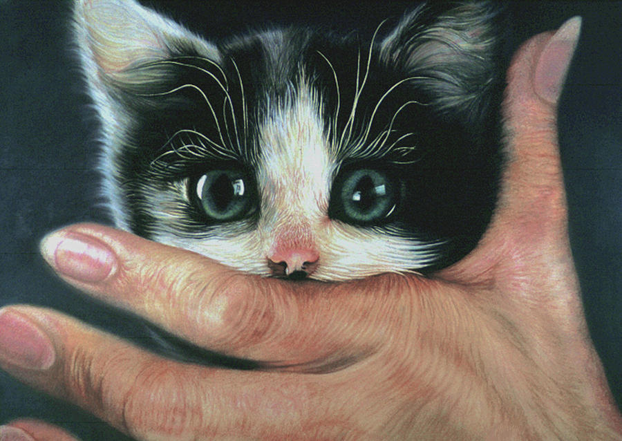 Scared Cat Pastel by June Pauline Zent