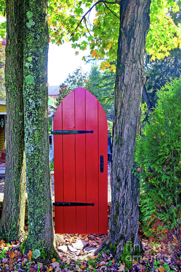 Scarlet Door Photograph