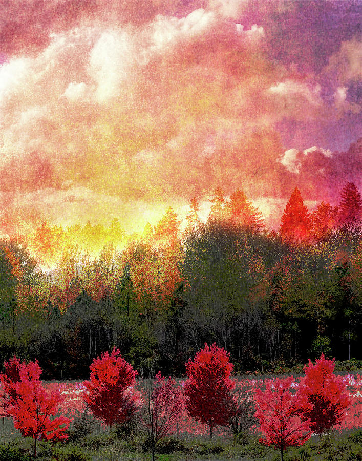 Scarlet Fall Trees in a Row Digital Art by Sherrie Triest
