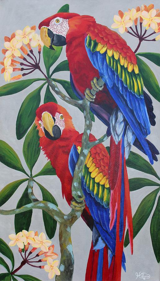 Scarlet Macaw B Painting by Stephanie Helvin - Fine Art America