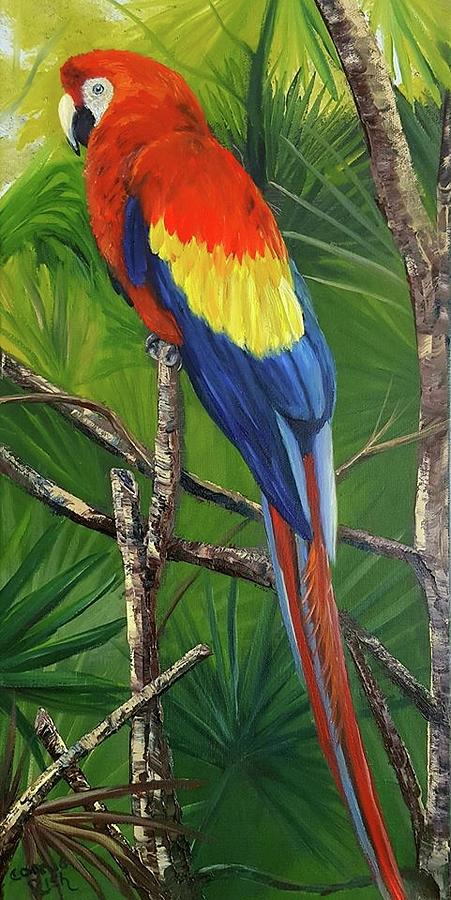 Scarlet MaCaw Painting by Connie Rish