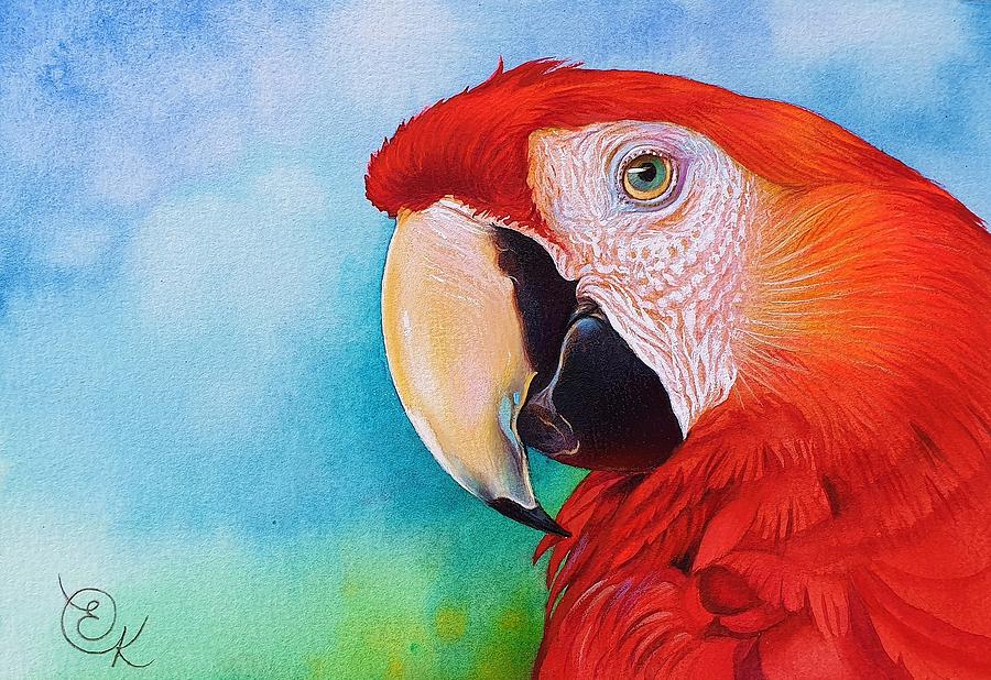 Scarlet Macaw Painting by Elena Kolotusha
