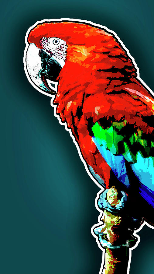 Scarlet Macaw Digital Art by Gene Bollig