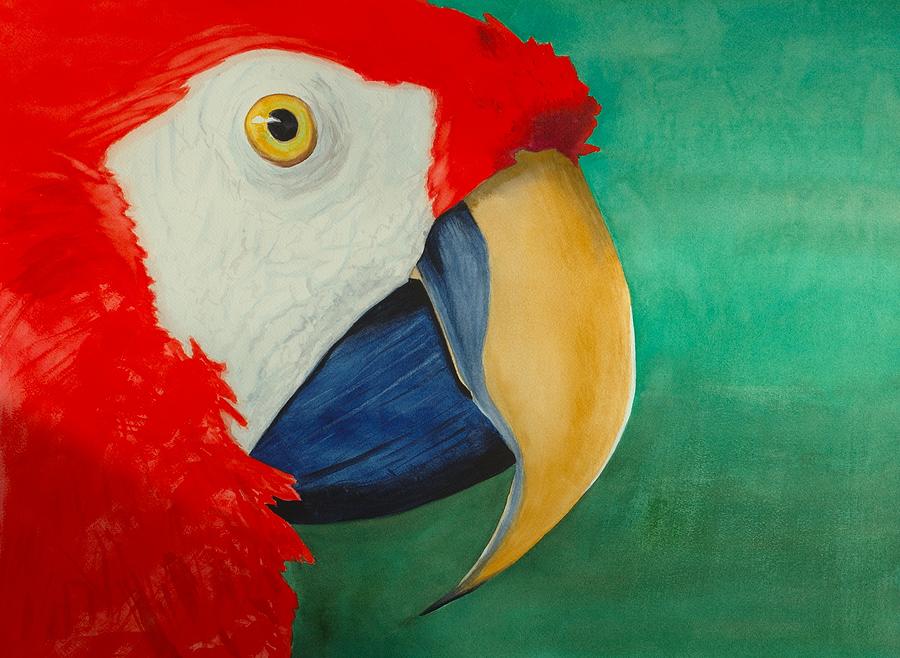 Scarlet Macaw Painting by John Sweeney