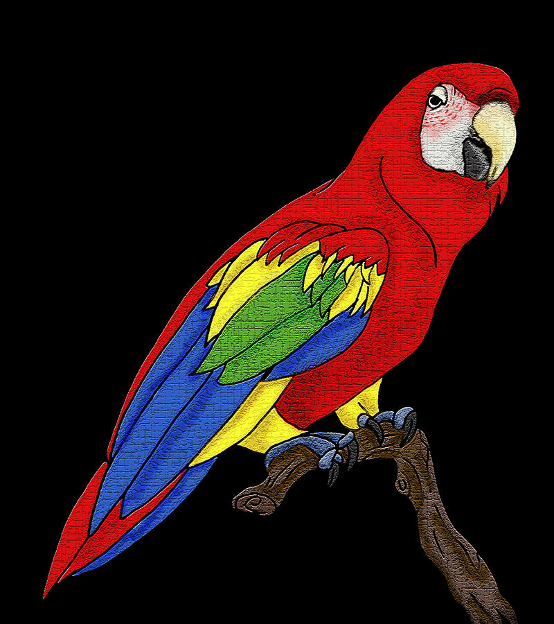 Scarlet Macaw Parrot Art Digital Art by Kelly Mills