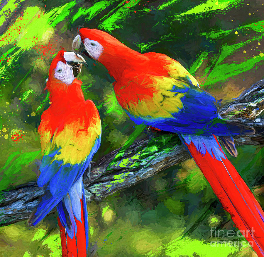 Scarlet Macaws Kissing Painting by Paul Gerace