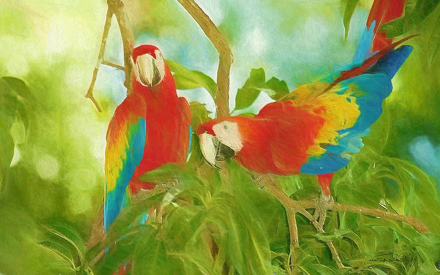 Scarlet Macaws Painting by Maciek Froncisz