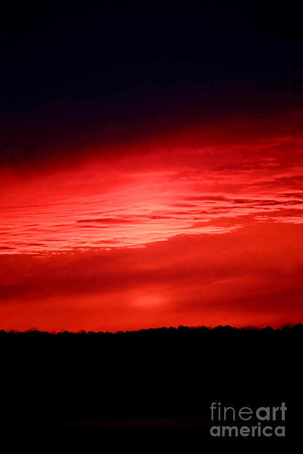 Scarlet Sunset Photograph by Tim Lent