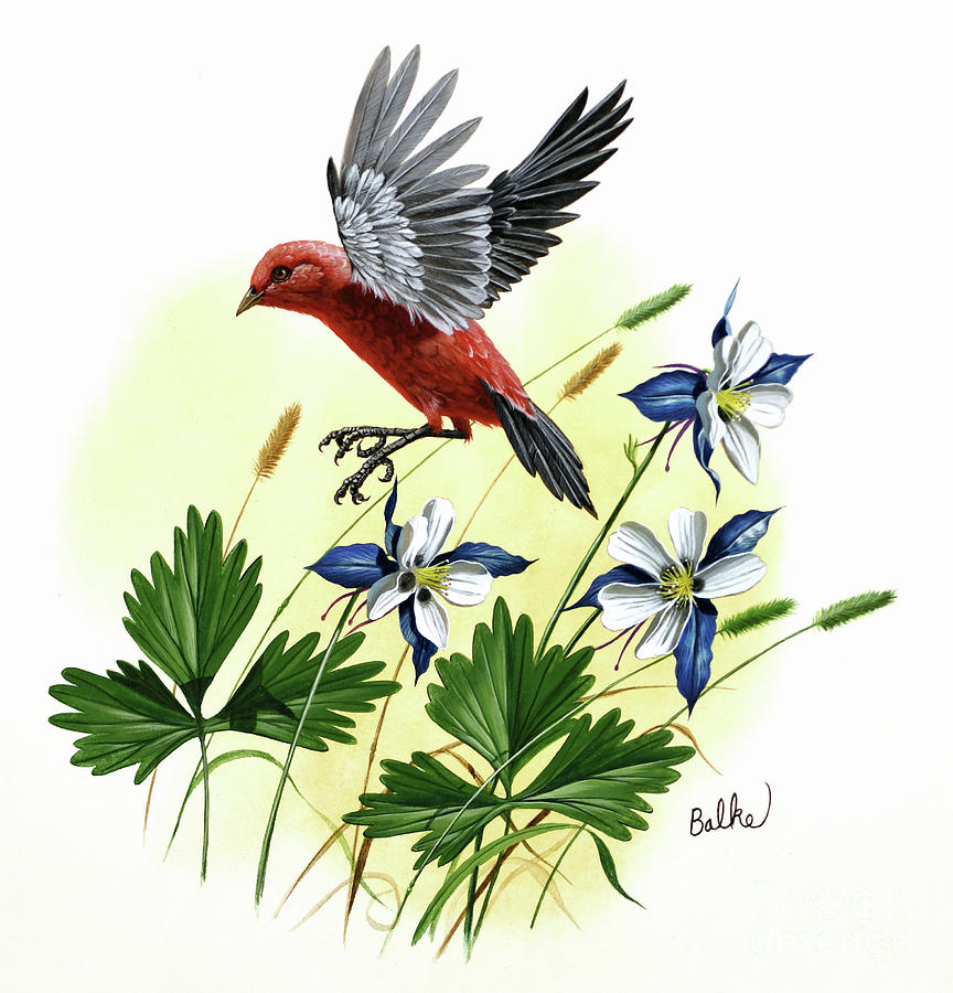 Scarlet Tanager and Blue Columbine Painting by Don Balke