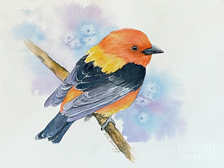 Scarlet Tanager Bird  Painting by Hilda Vandergriff