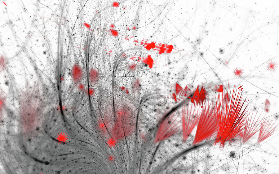 Scarlet Wildflowers Digital Art by Gary Blackman
