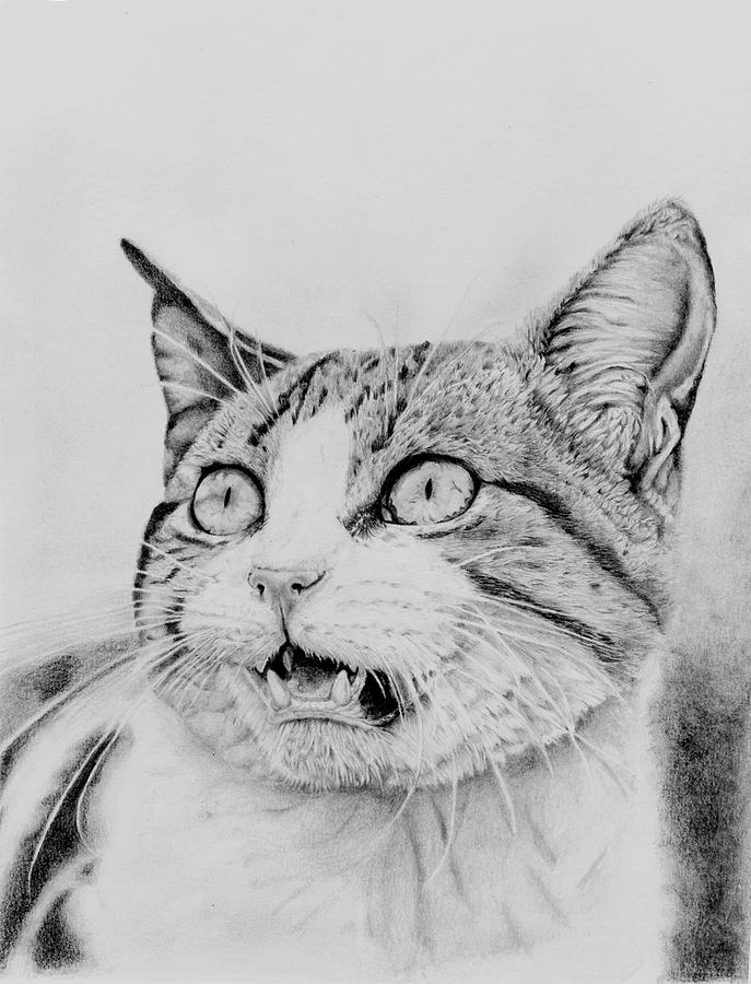 Scary Cat Drawing by Ingrid Fornazari