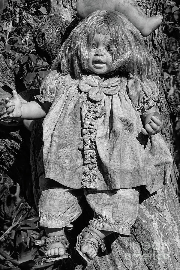 Scary Doll Photograph by Jerry Editor | Fine Art America