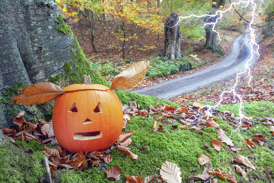 Scary halloween pumpkin alive in the woods Photograph by Simon Bratt