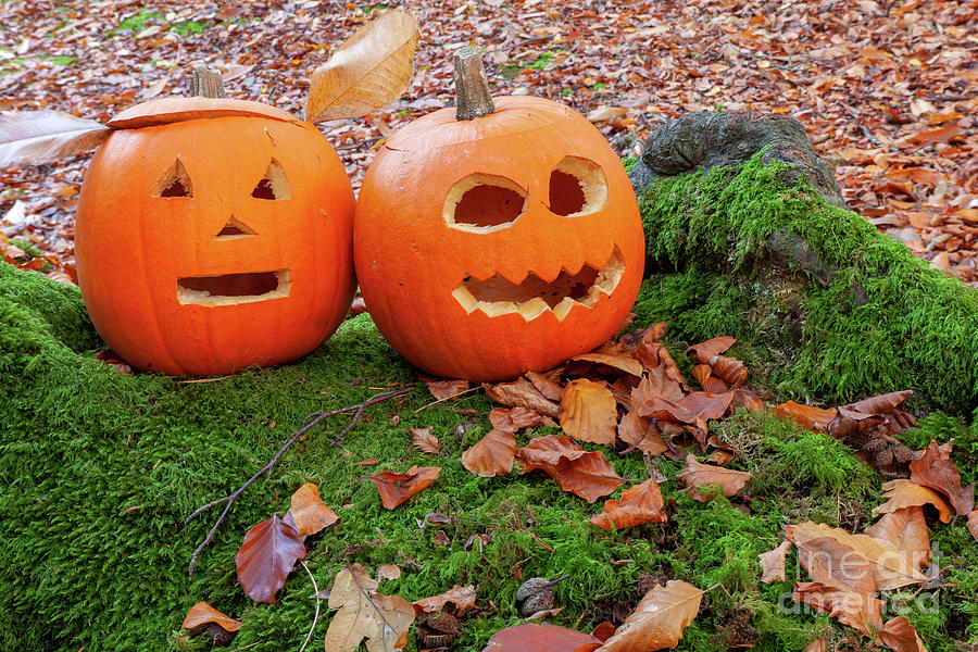 Scary pumpkins for halloween Photograph by Simon Bratt