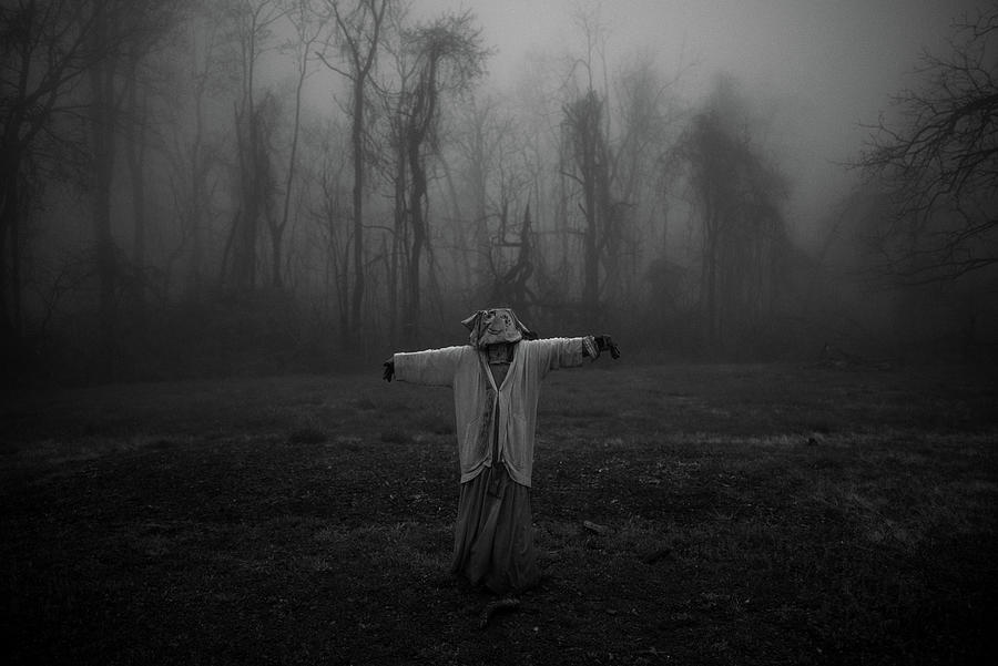 Scary Scarecrow In The Fog  Photograph by Doug Ash