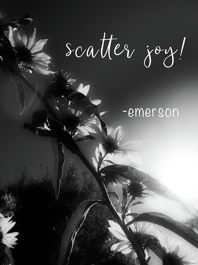Scatter Joy Photograph