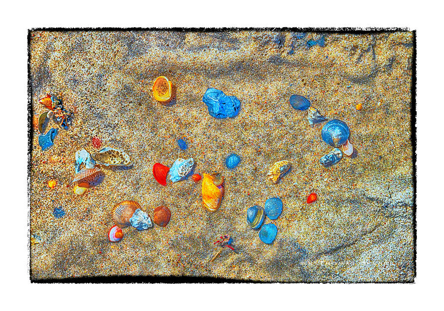 Scattered Shells Photograph by R Thomas Berner