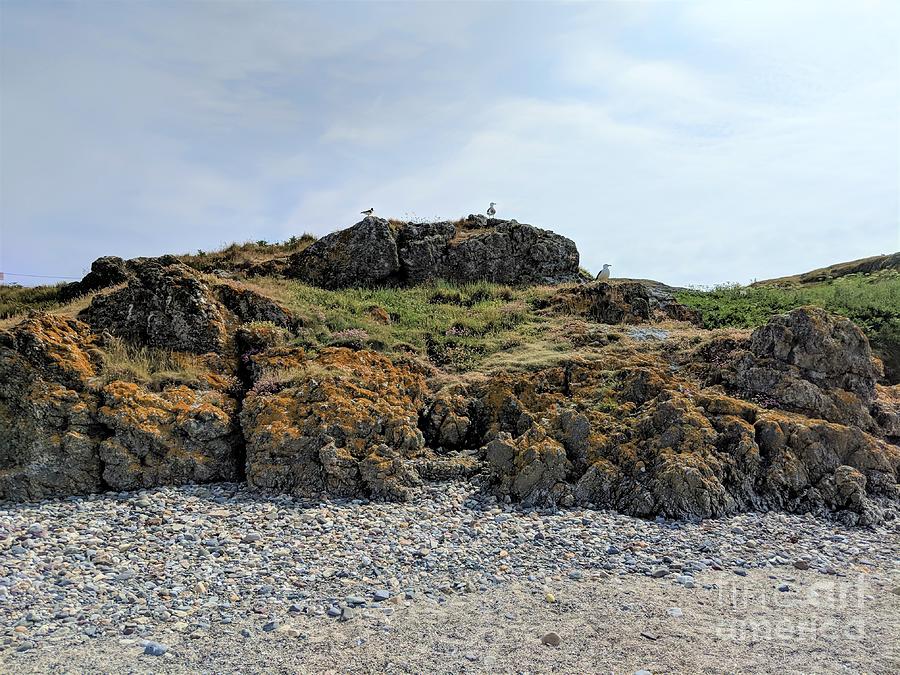 Scene from Ireland's Eye in Howth Harbor Photograph by Kaitlyn Somazze