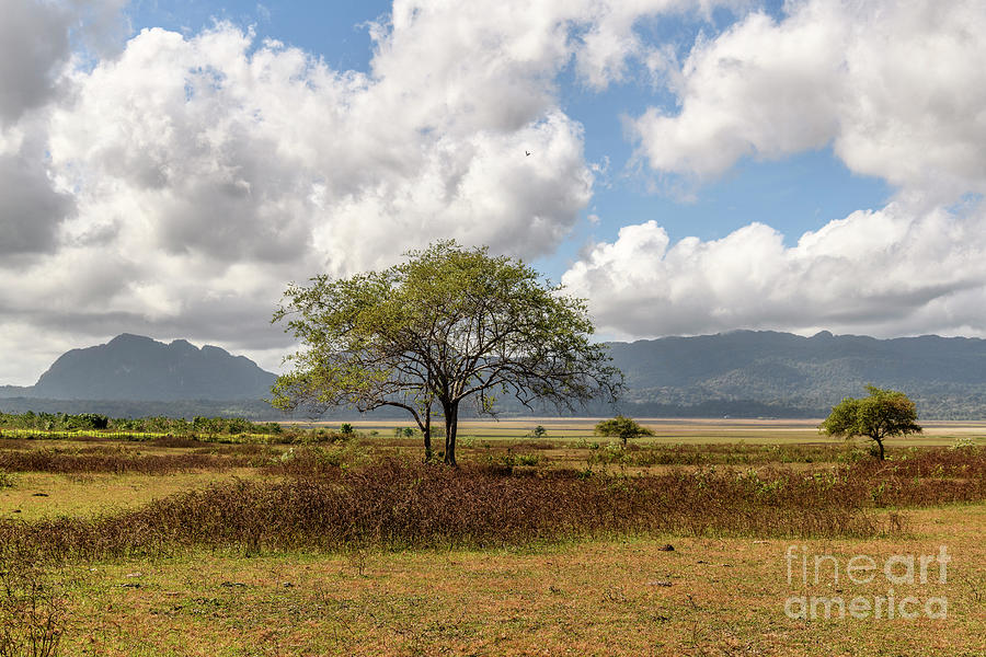 Scene from Timor-Leste 46 Photograph by Werner Padarin