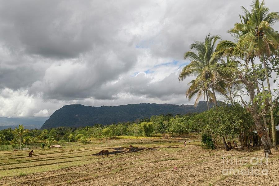 Scene from Timor-Leste 69 Photograph by Werner Padarin