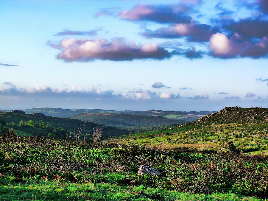 Scene of Dartmoor Photograph by Christopher Maxum
