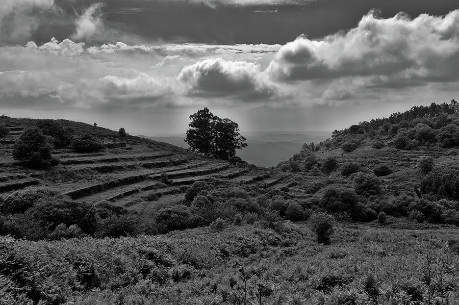 Scenery in Monochrome at the valley in Monchique Photograph by Angelo DeVal