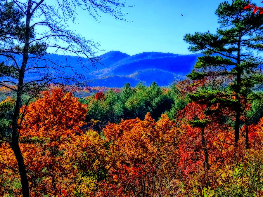 Scenic Autumn Gaze Photograph by Allen Nice-Webb