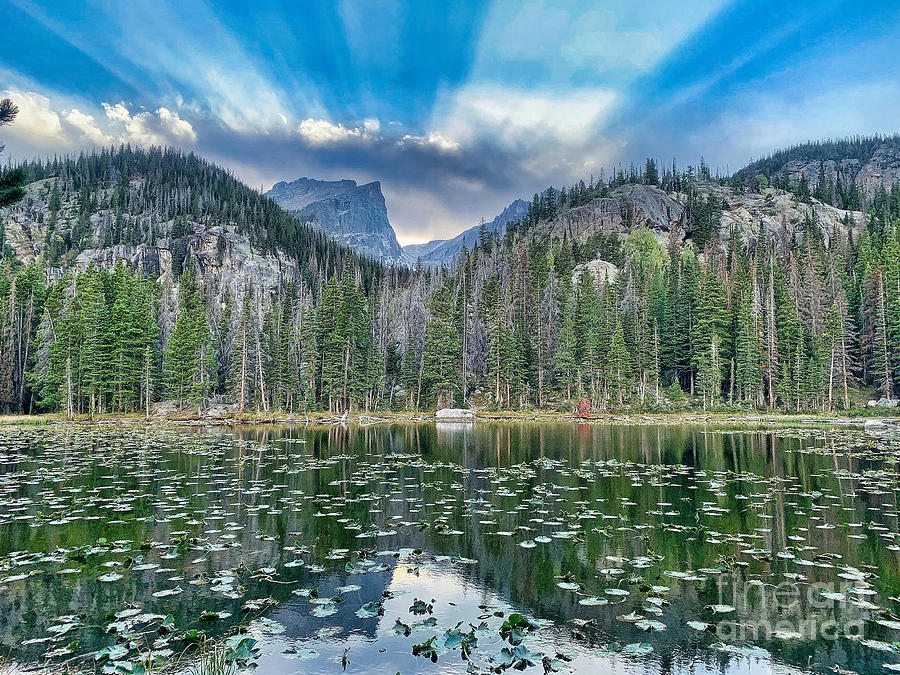Scenic Colorado Photograph by Judy Palkimas