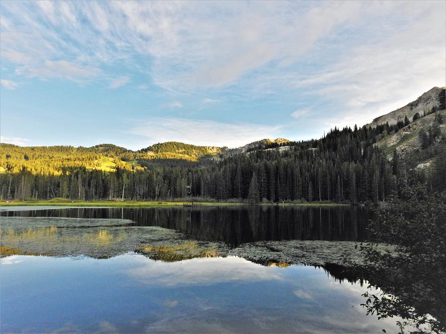 Scenic day Photograph by Michelle Weeks - Fine Art America