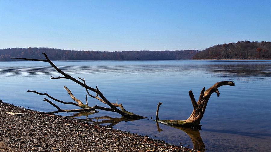 Scenic East Fork Lake Photograph by Gregory Mitchell - Pixels