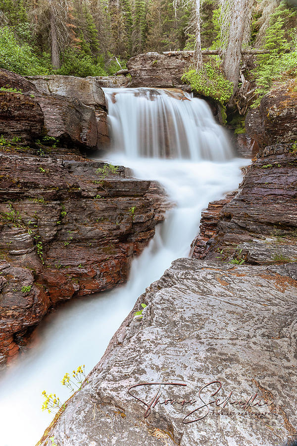 Scenic Gorge Virginia Creek - Glacier National Park Photograph by Photos By Thom