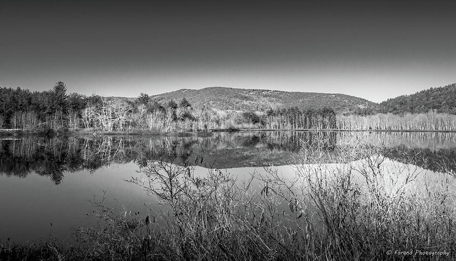 Fall Photograph - Scenic Lake on The Kancamangus Black and White by Debra Forand