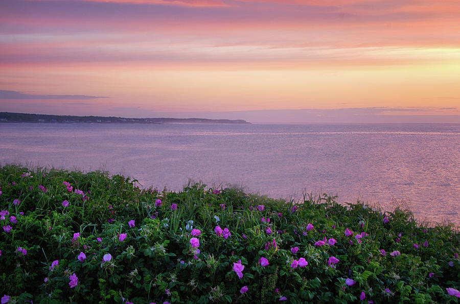 Flower Photograph - Scenic Maine by Eleanor Bortnick
