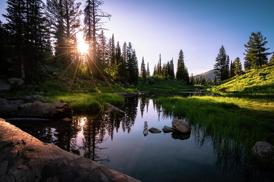Scenic Nature in Idaho Photograph by James Udall