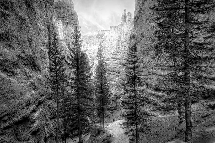 Scenic Navajo Trail B W Photograph by Donna Kennedy