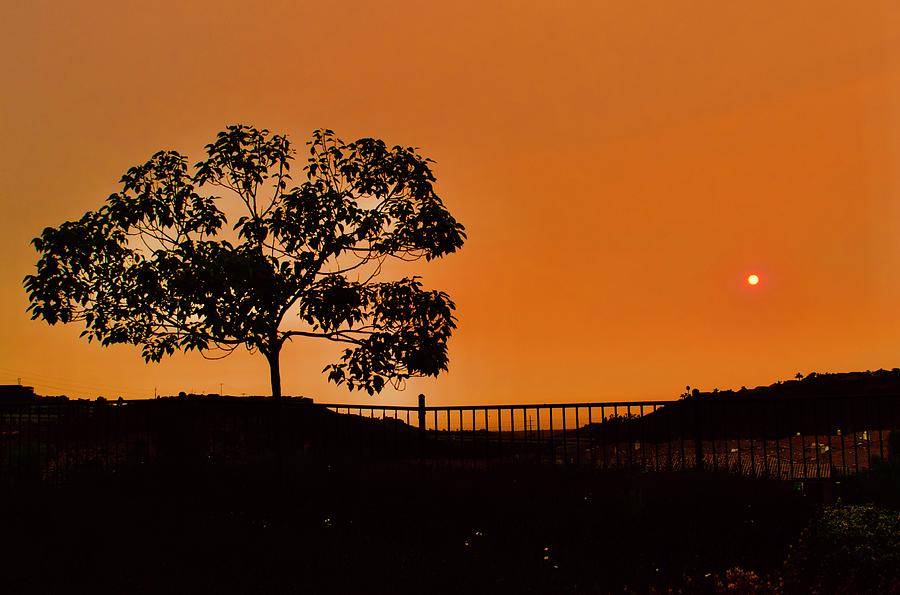 Wildfire Sunset California Photograph by Bnte Creations