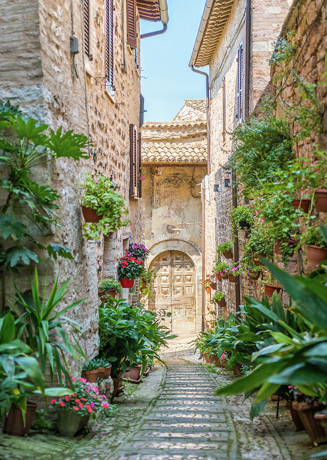 Scenic Sight In Spello Flowery And Picturesque Village In Umbria Province Of Perugia Italy