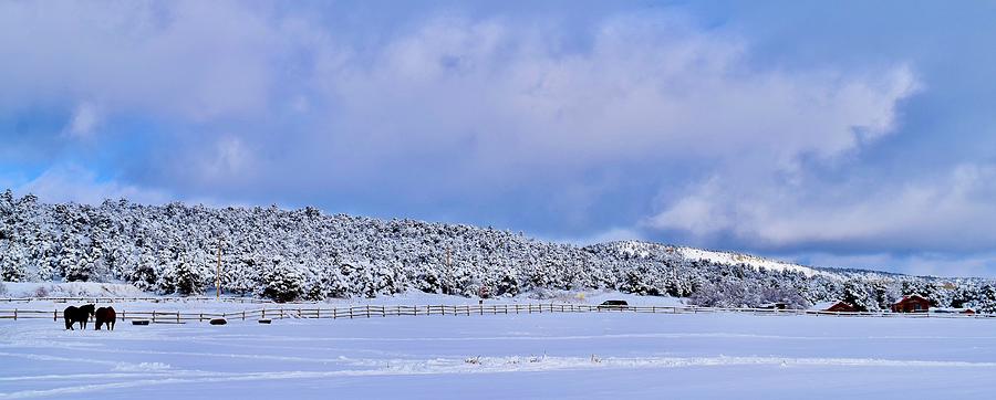 Beautiful Snow view Zion Mountain Ranch,UT Photograph by Bnte Creations