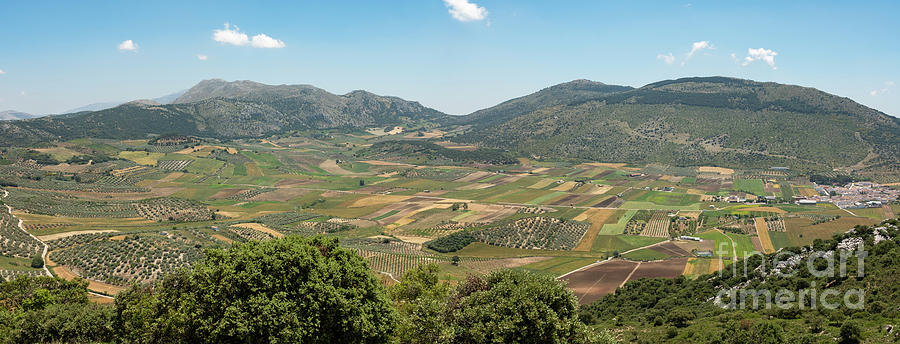 Scenic spanish landscape with farmland in Andalucia Photograph by Perry Van Munster
