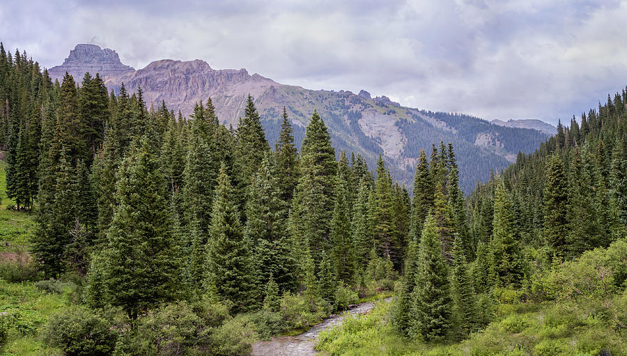 Scenic View in the San Juan Mountains Photograph by James Woody