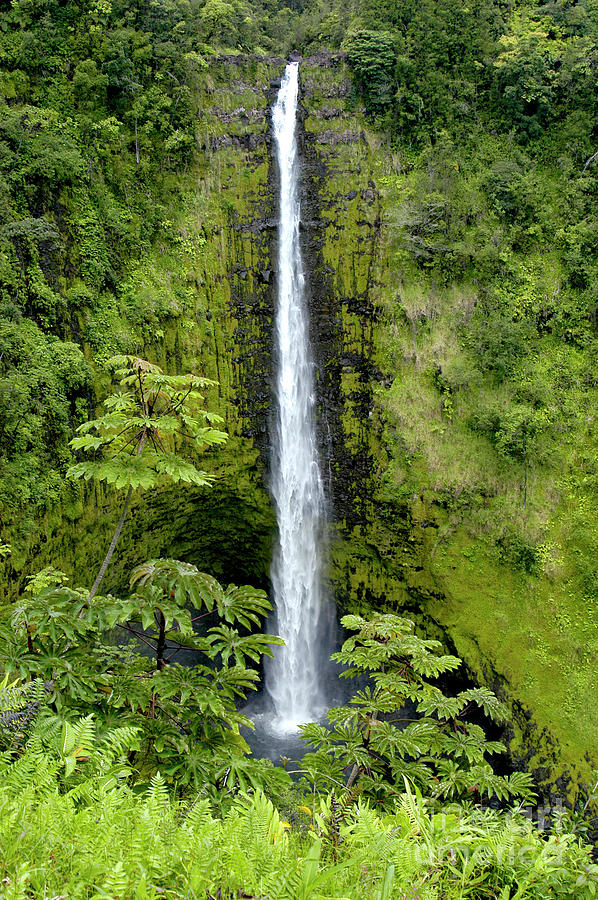 Scenic view of Akaka Water Fall on Hawaiis Big Island. Photograph by Gunther Allen