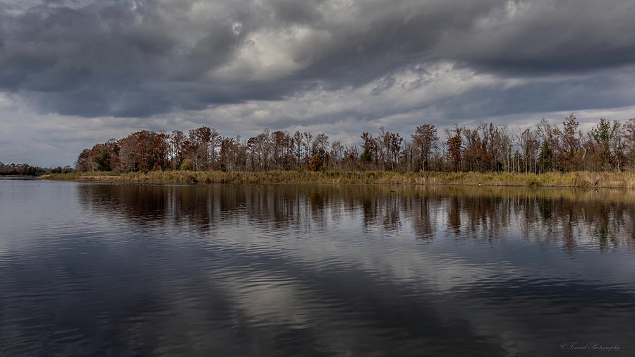 Scenic View Of Lake Seminole Photograph
