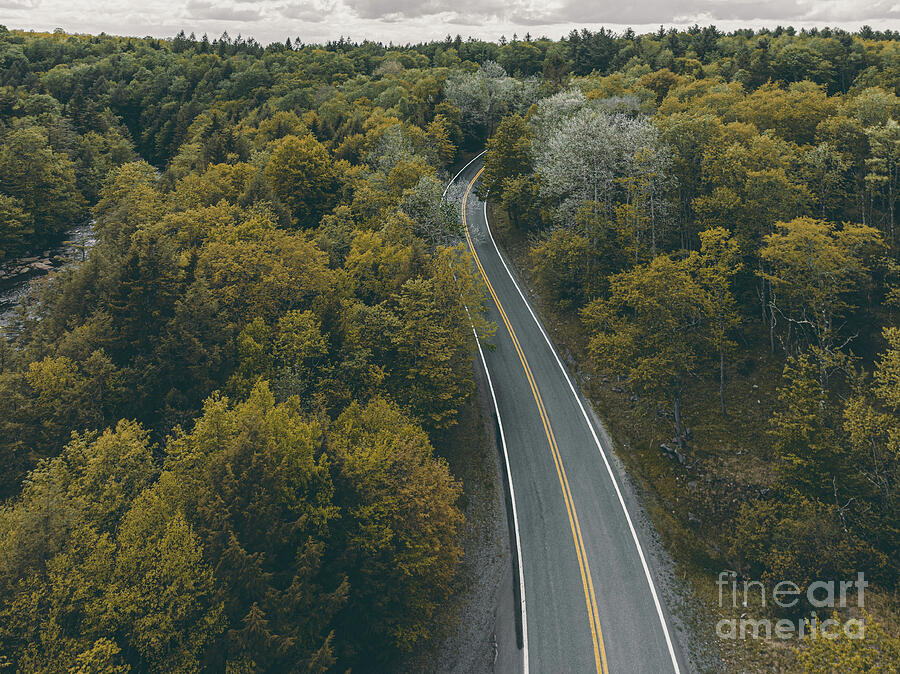 Scenic Winding Road through Blackwater Forest Photograph by UA-Visions Scenic Winding Road through Blackwater Forest Photograph by UA-Visions
