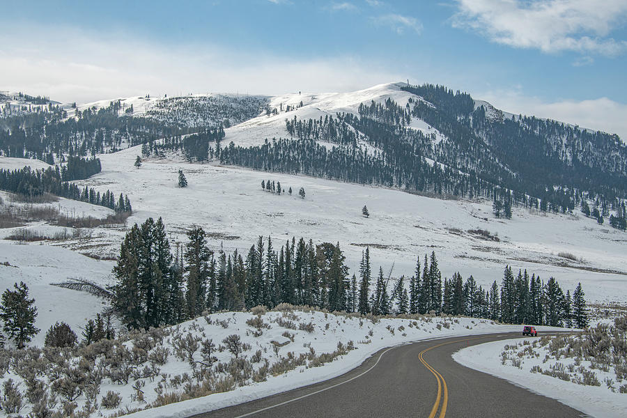 Scenic Yellowstone Winter Landscape Photograph by Marcy Wielfaert