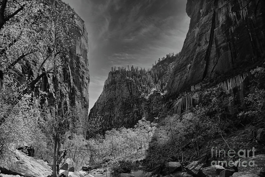 Scenic Zion National Park Black White USA  Photograph by Chuck Kuhn