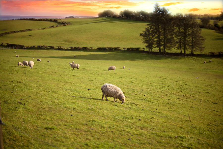 Scenics Irish landscape Photograph by Mikroman6