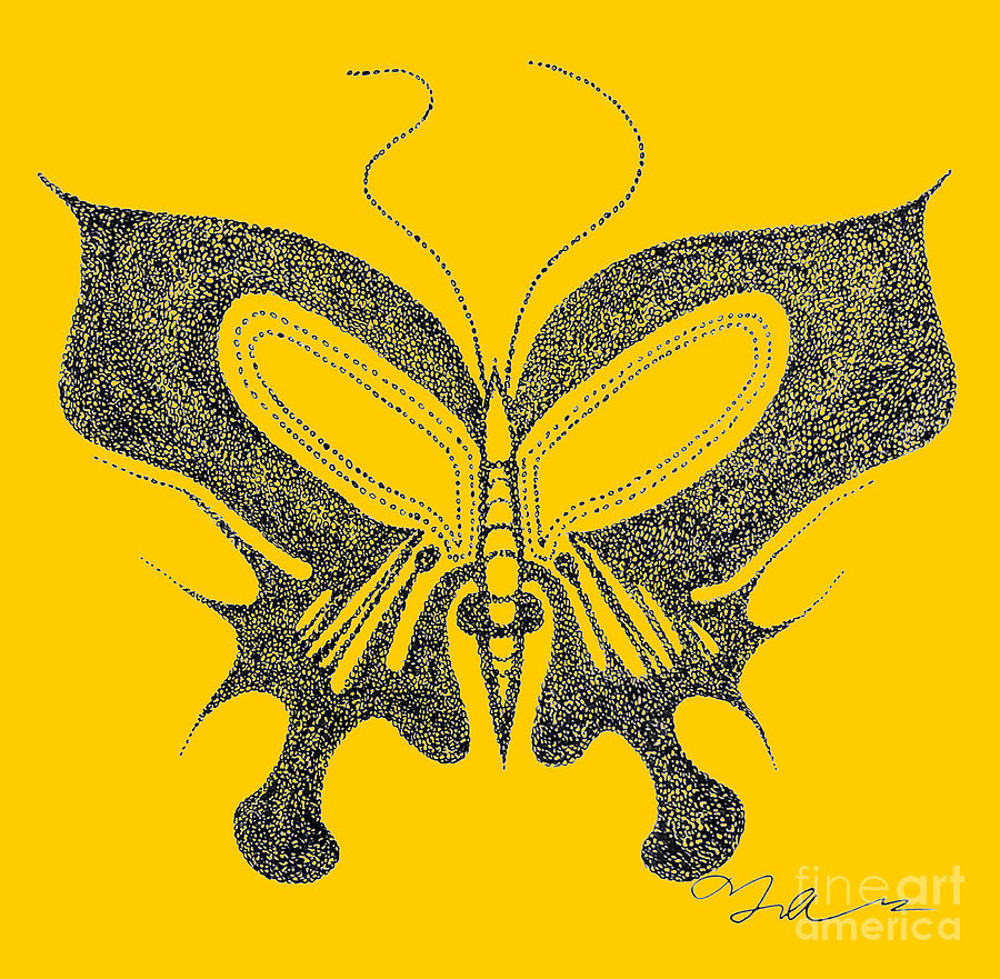 Scent Of The Butterfly Drawing